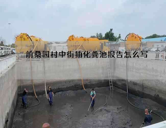 前桑园村中街抽化粪池报告怎么写