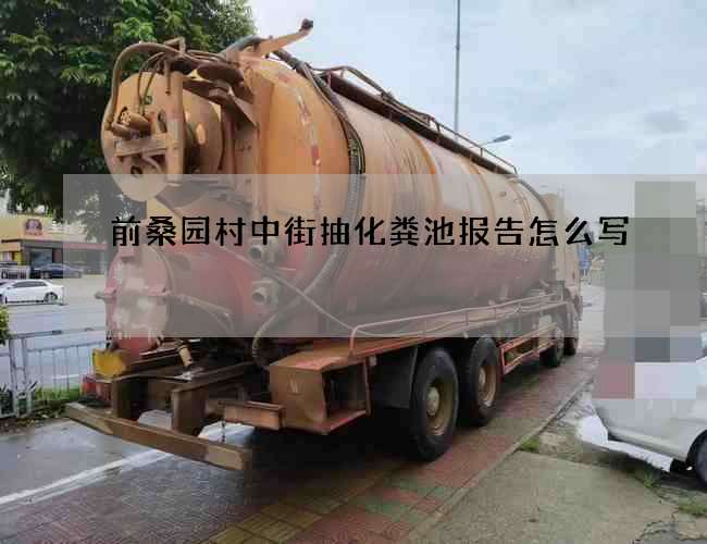 前桑园村中街抽化粪池报告怎么写