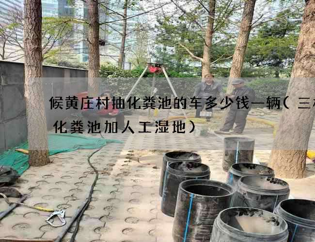 候黄庄村抽化粪池的车多少钱一辆(三格式化粪池加人工湿地)