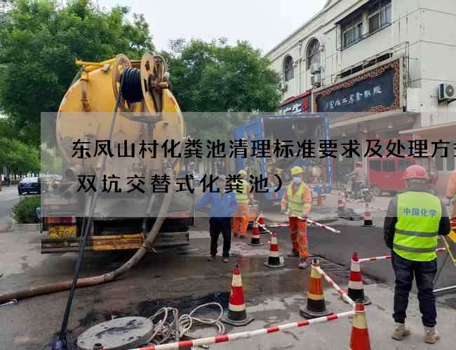 东凤山村化粪池清理标准要求及处理方式(双坑交替式化粪池)