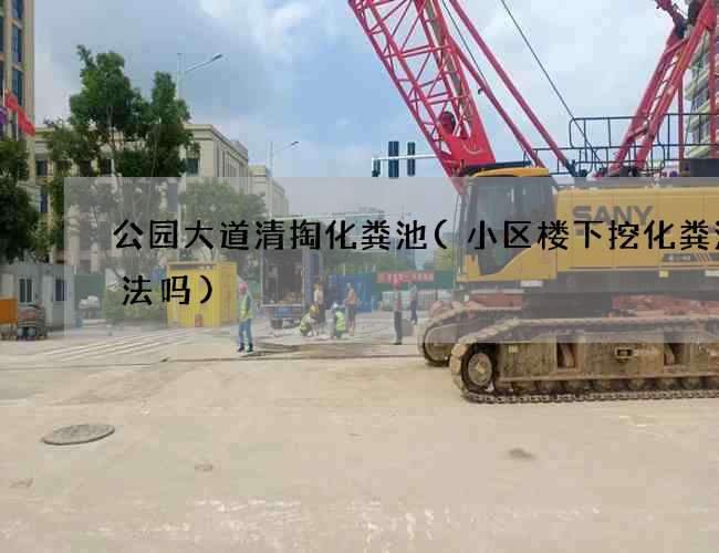 公园大道清掏化粪池(小区楼下挖化粪池违法吗)