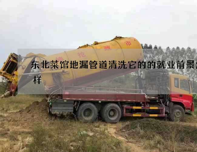 东北菜馆地漏管道清洗它的的就业前景怎么样 东北菜馆地漏管道清洗它的的就业前景怎么样