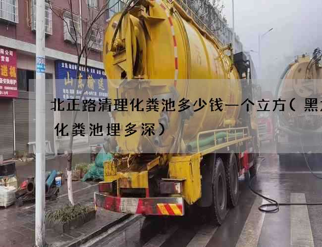 北正路清理化粪池多少钱一个立方(黑龙江化粪池埋多深)
