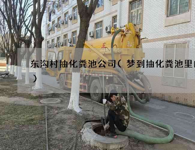 东沟村抽化粪池公司(梦到抽化粪池里的水)