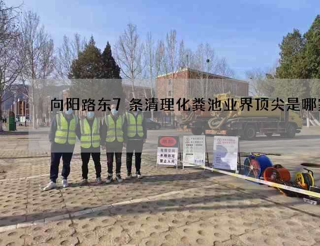 向阳路东7条清理化粪池业界顶尖是哪家