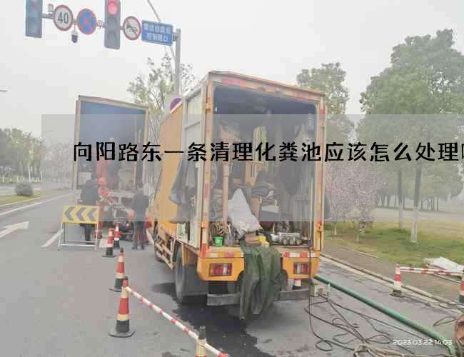 向阳路东一条清理化粪池应该怎么处理呢?
