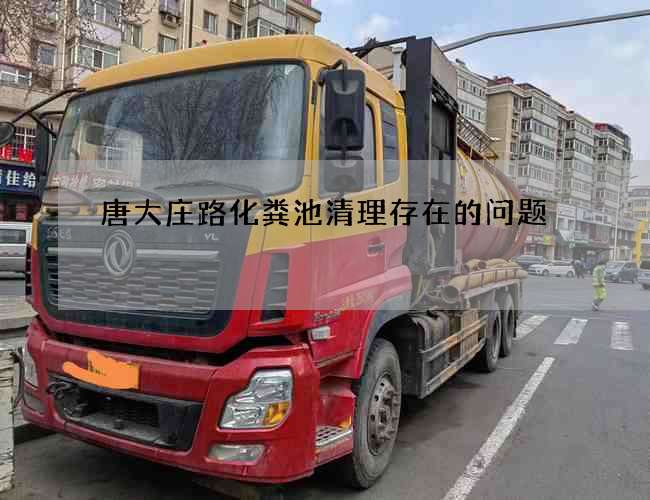 唐大庄路化粪池清理存在的问题 唐大庄路化粪池清理存在的问题