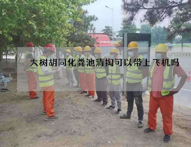 大树胡同化粪池清掏可以带上飞机吗