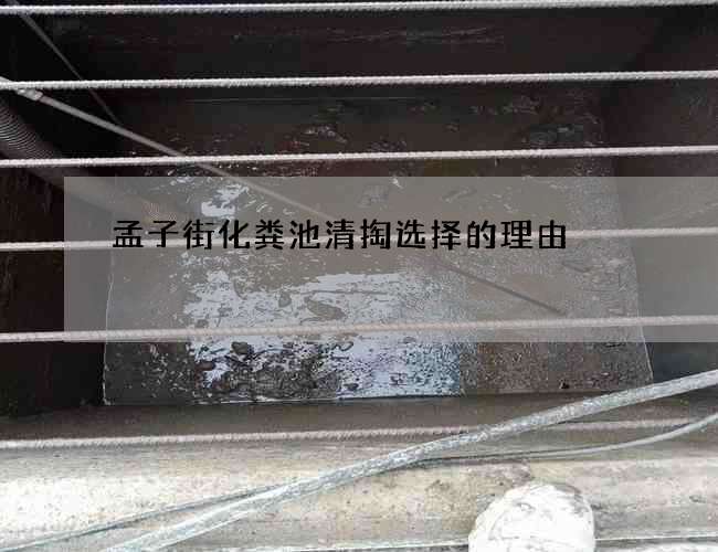 孟子街化粪池清掏选择的理由
