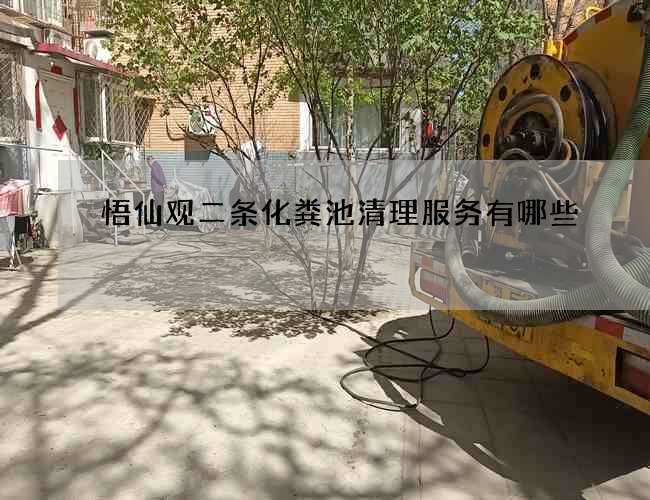 悟仙观二条化粪池清理服务有哪些