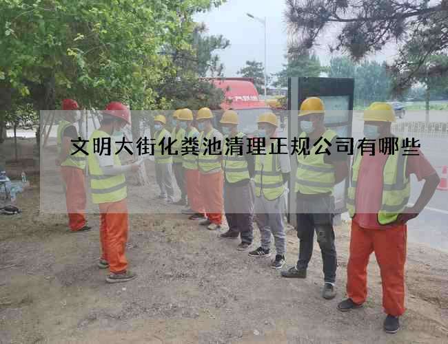 文明大街化粪池清理正规公司有哪些 文明大街化粪池清理正规公司有哪些