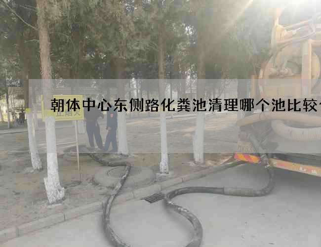 朝体中心东侧路化粪池清理哪个池比较合适 朝体中心东侧路化粪池清理哪个池比较合适