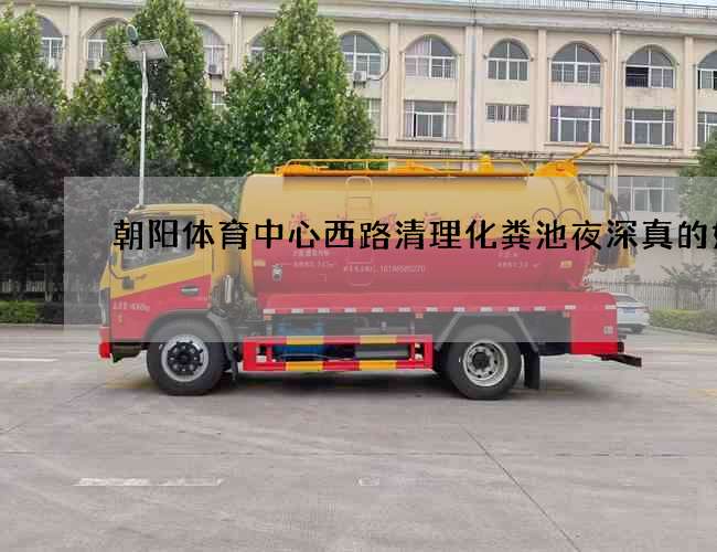 朝阳体育中心西路清理化粪池夜深真的好吗