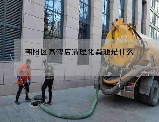 朝阳区高碑店清理化粪池是什么?