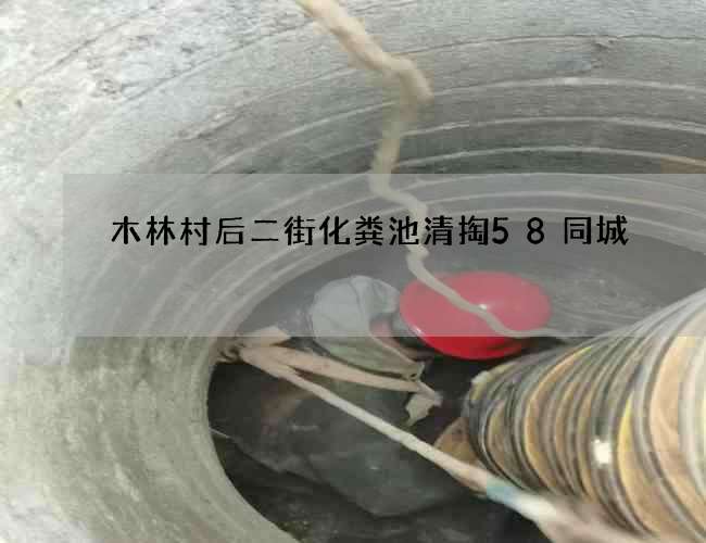 木林村后二街化粪池清掏58同城