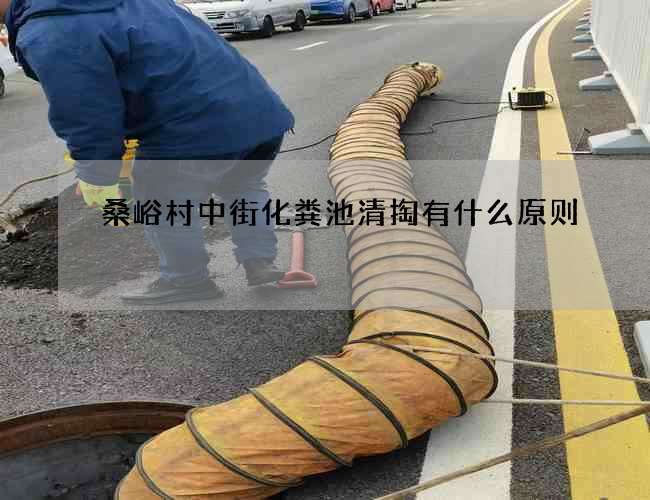 桑峪村中街化粪池清掏有什么原则