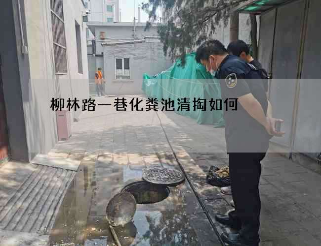柳林路一巷化粪池清掏如何