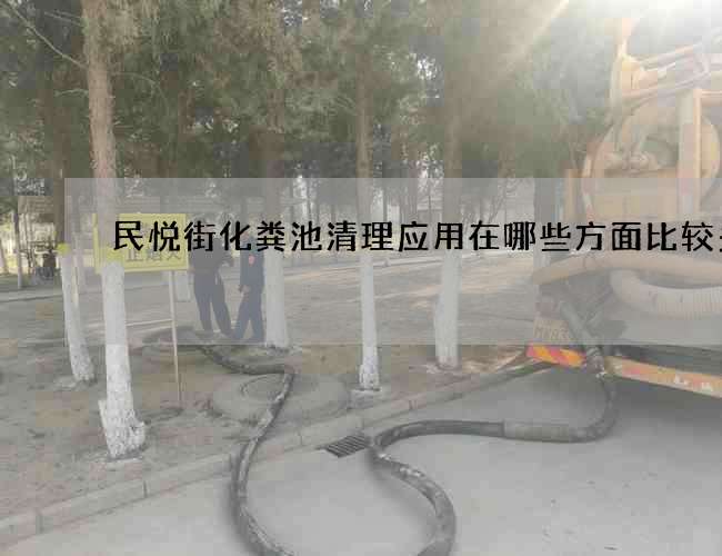 民悦街化粪池清理应用在哪些方面比较多