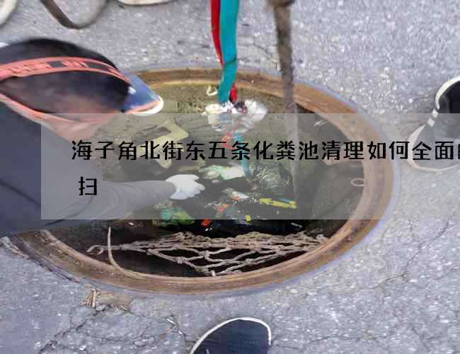 海子角北街东五条化粪池清理如何全面的打扫