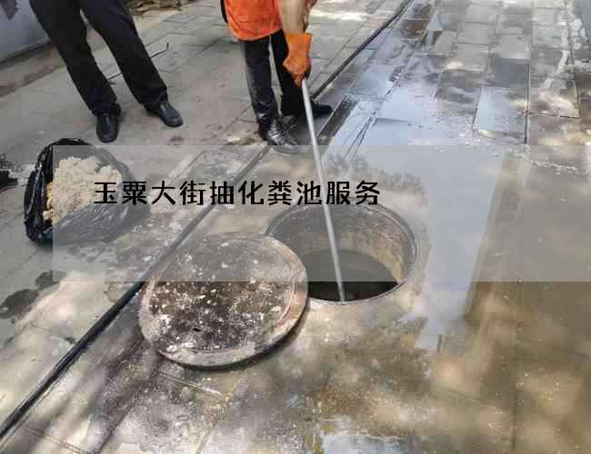 玉粟大街抽化粪池服务
