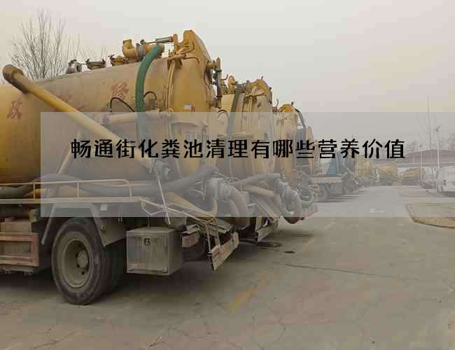 畅通街化粪池清理有哪些营养价值