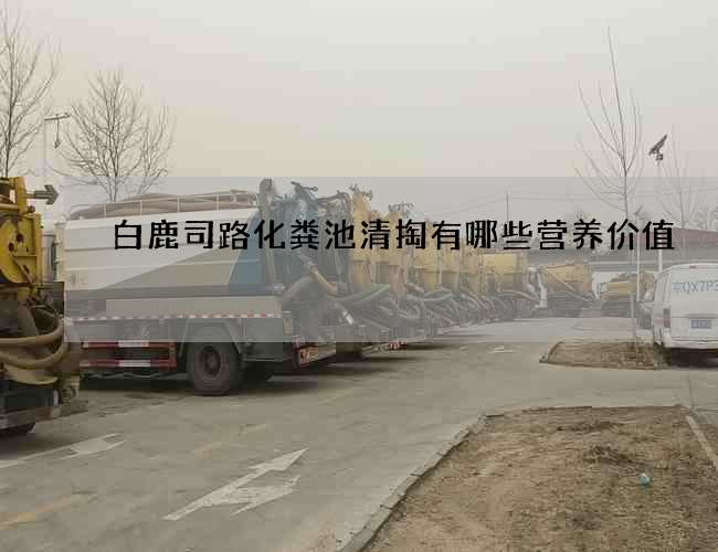 白鹿司路化粪池清掏有哪些营养价值