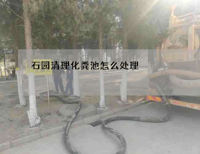 石园清理化粪池怎么处理