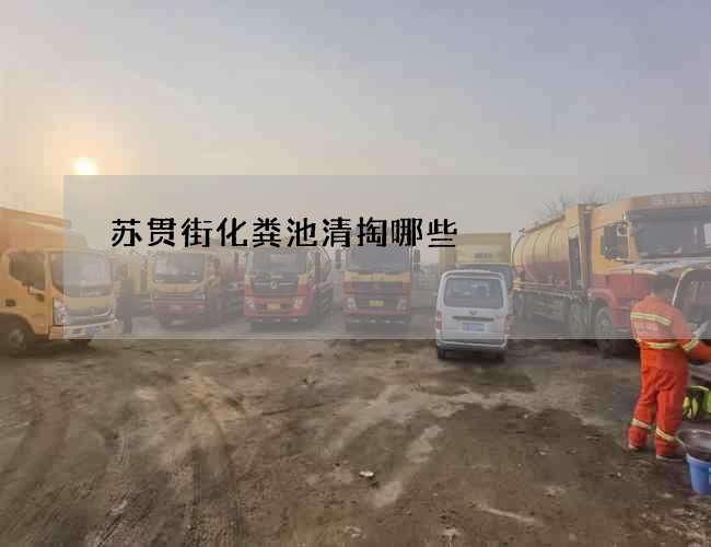 苏贯街化粪池清掏哪些