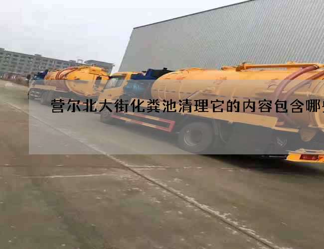 营尔北大街化粪池清理它的内容包含哪些