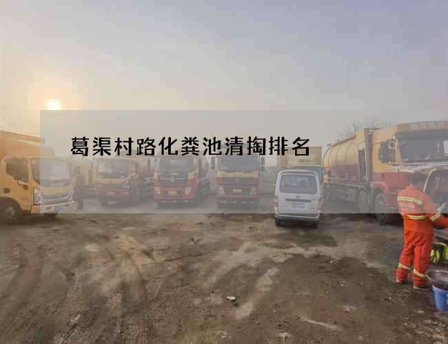 葛渠村路化粪池清掏排名