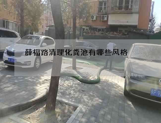 薛福路清理化粪池有哪些风格